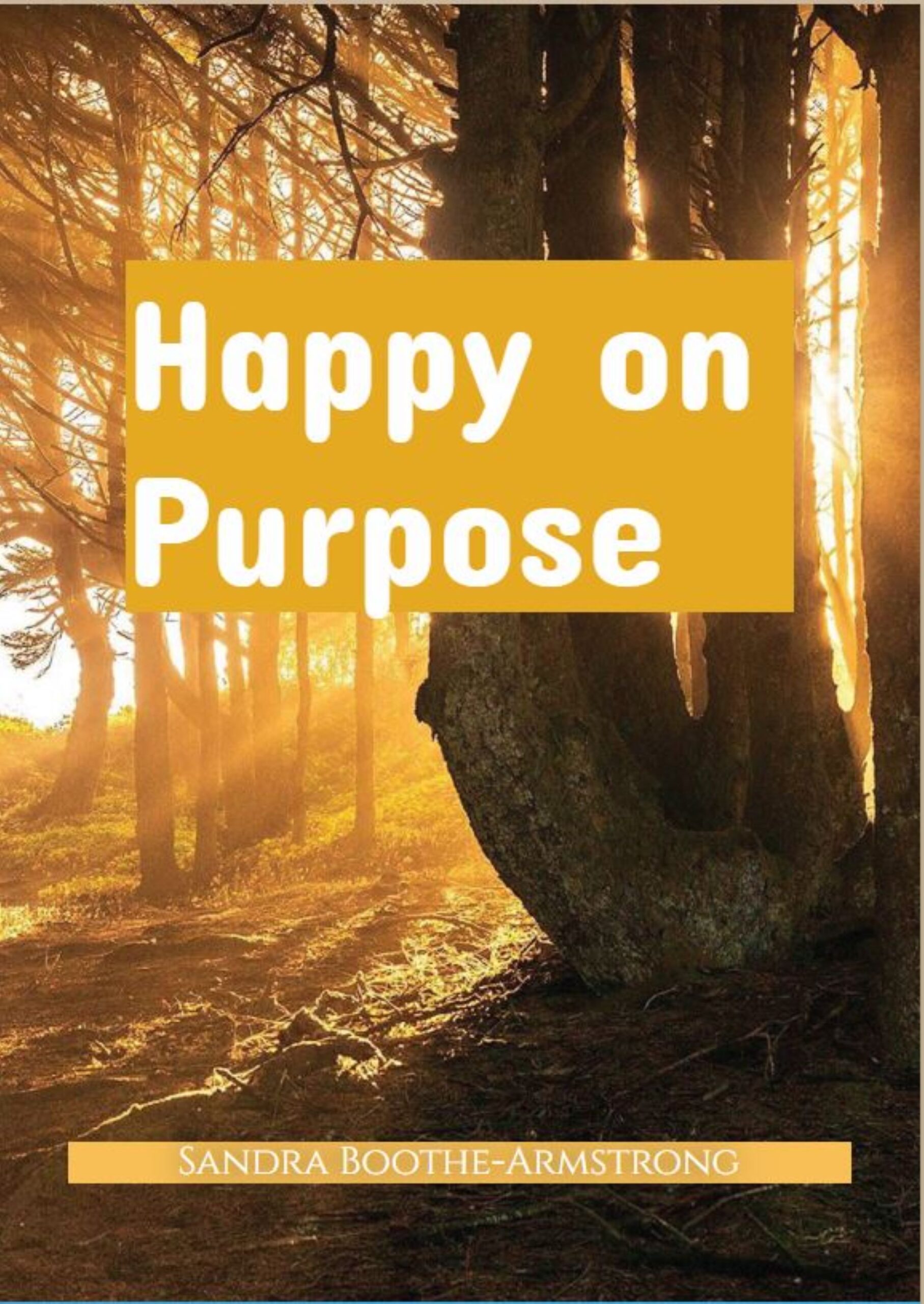 Happy On Purpose
